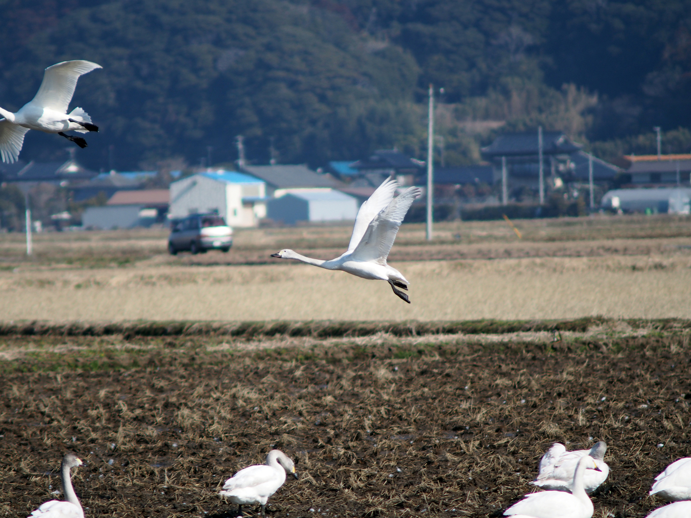 P2100347.jpg