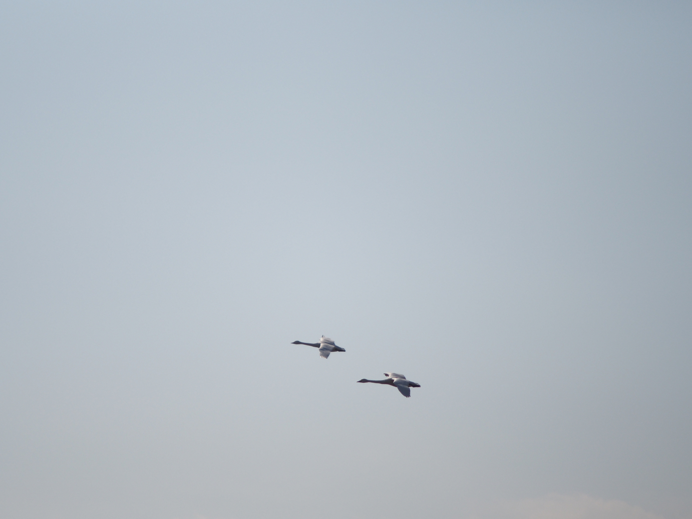 P2100462.jpg