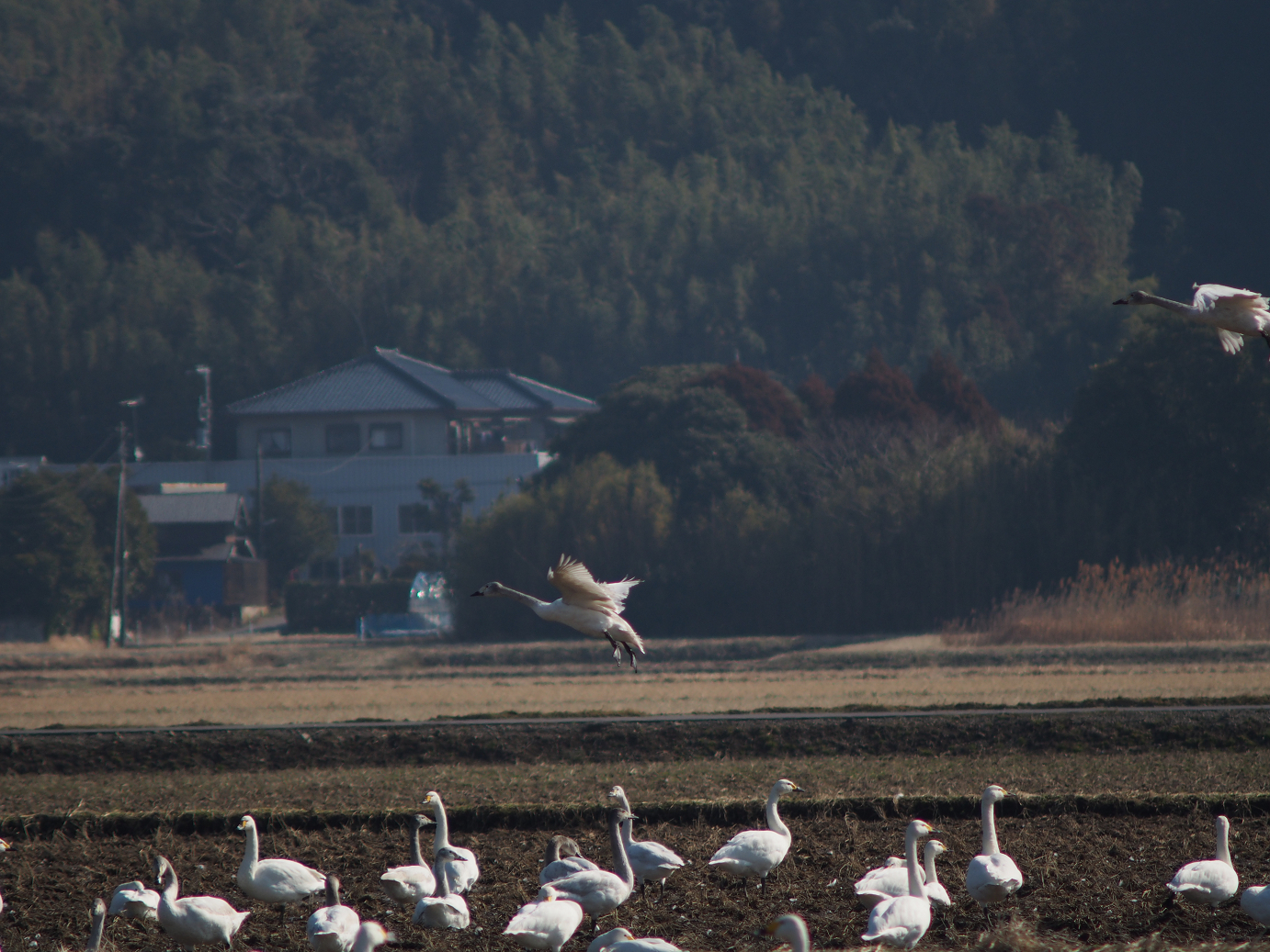 P2100484.jpg