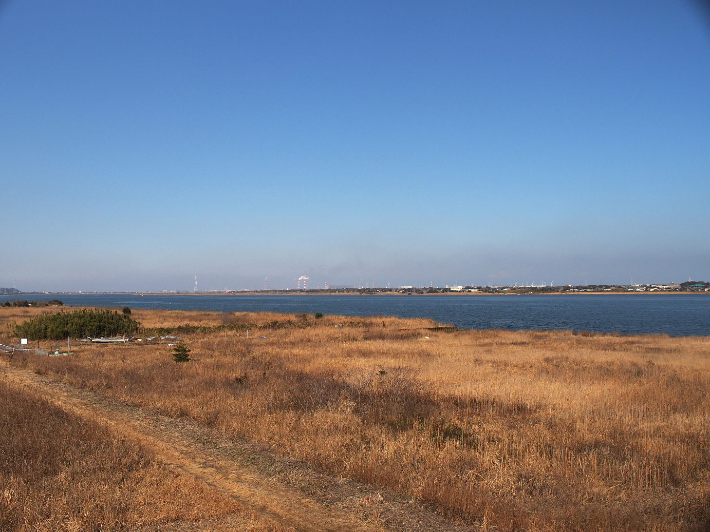 P2100633.jpg