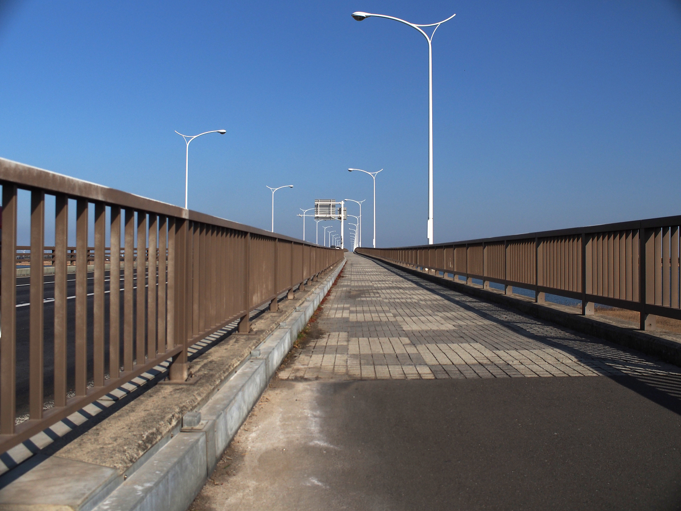 P2100634.jpg