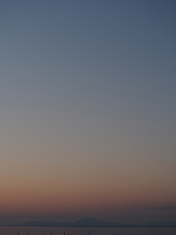 P2100726_thumb.png