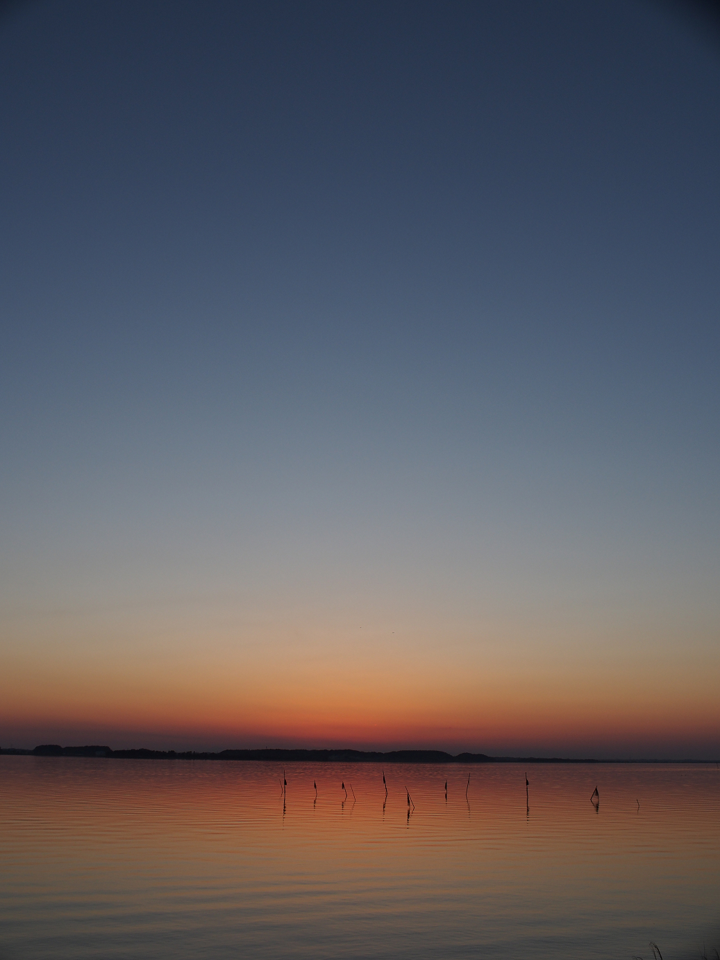 P2100731.jpg
