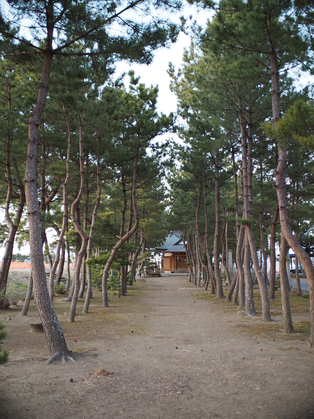 P2100734.jpg