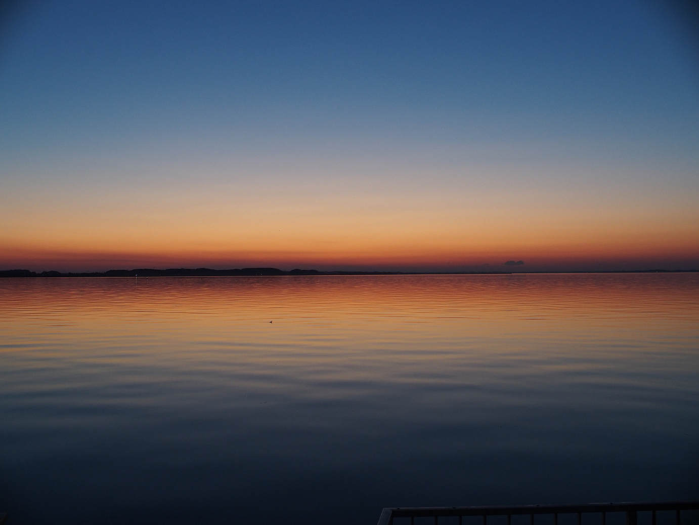 P2100763.jpg