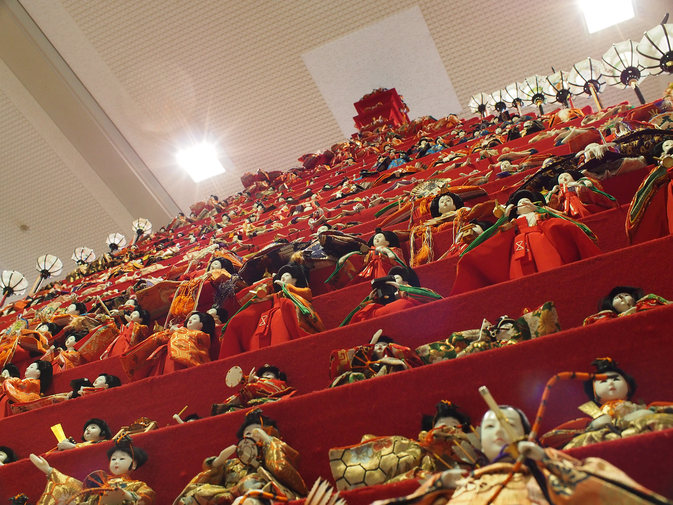 P2230155.jpg