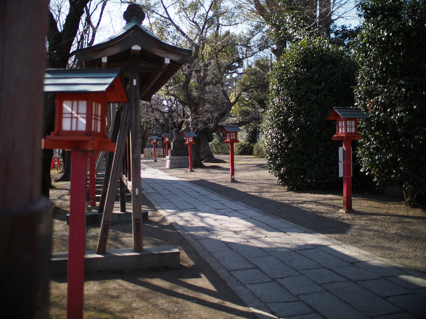 P2230201.jpg