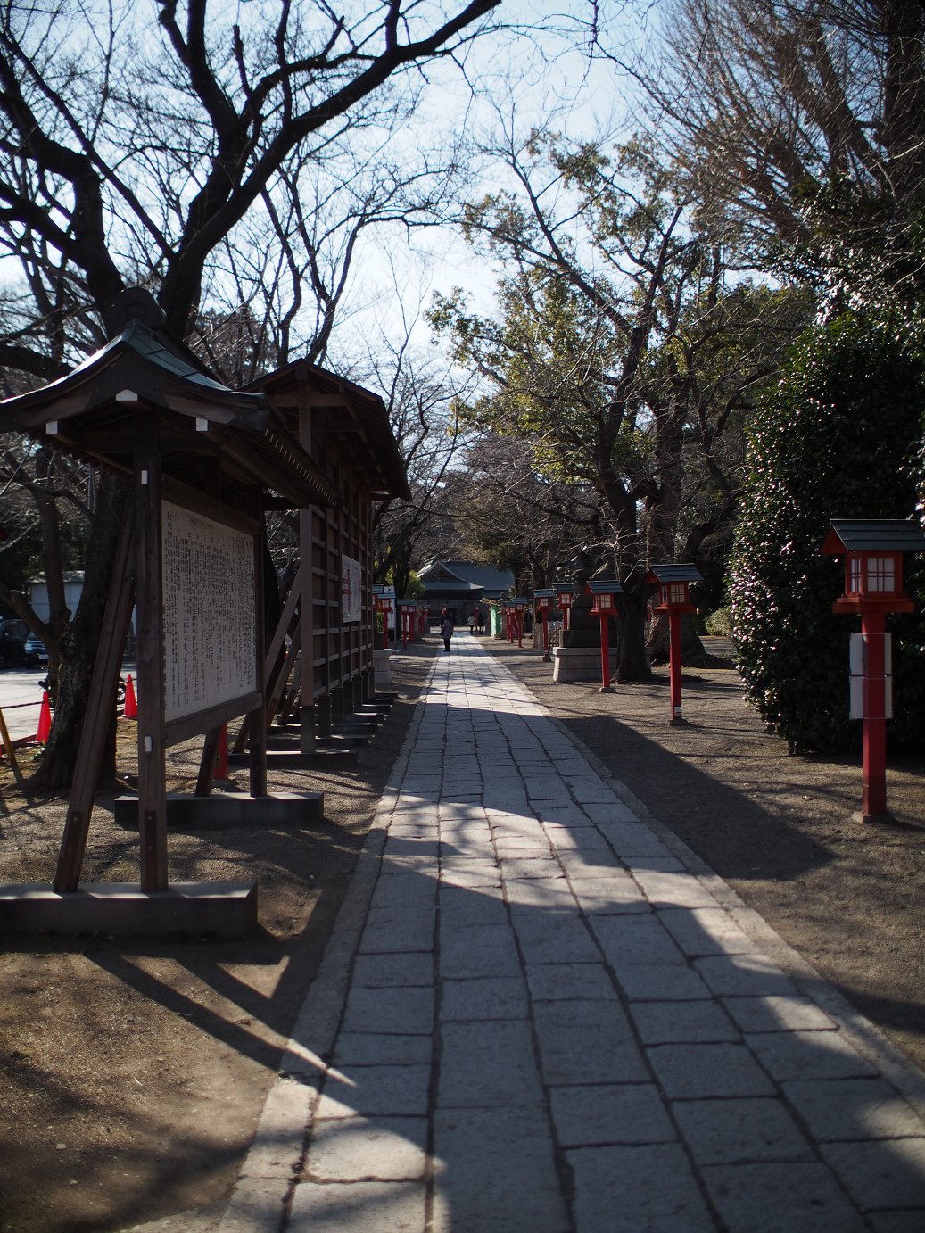 P2230202.jpg