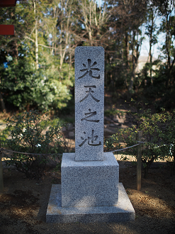 P2230220_thumb.png