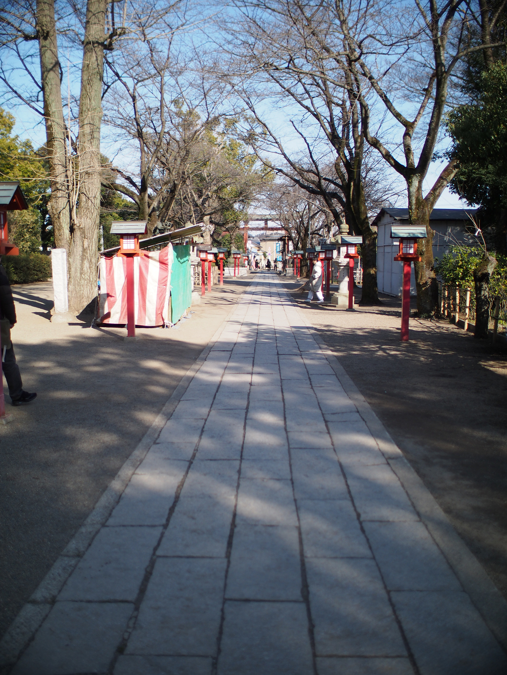 P2230224.jpg