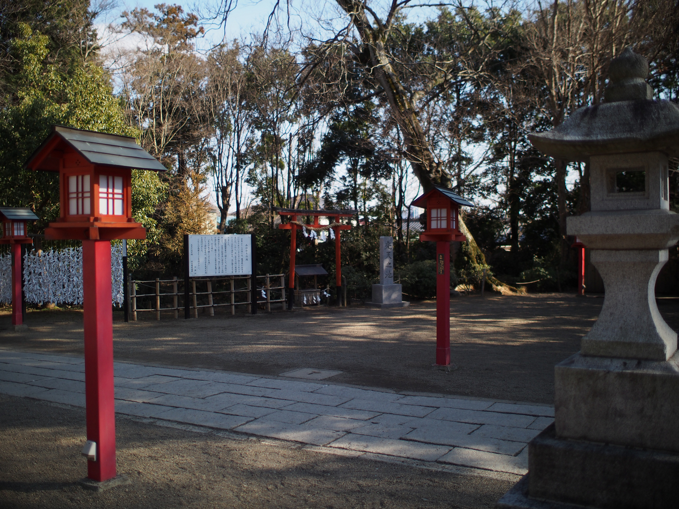 P2230229.jpg