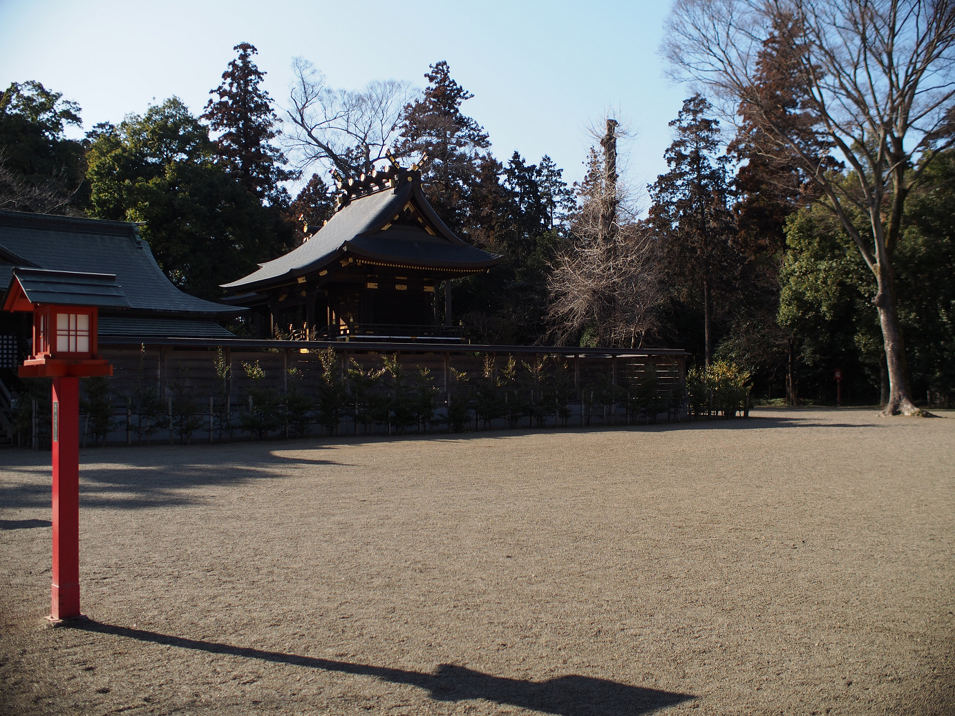 P2230231.jpg