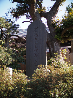 P2230237_thumb.png