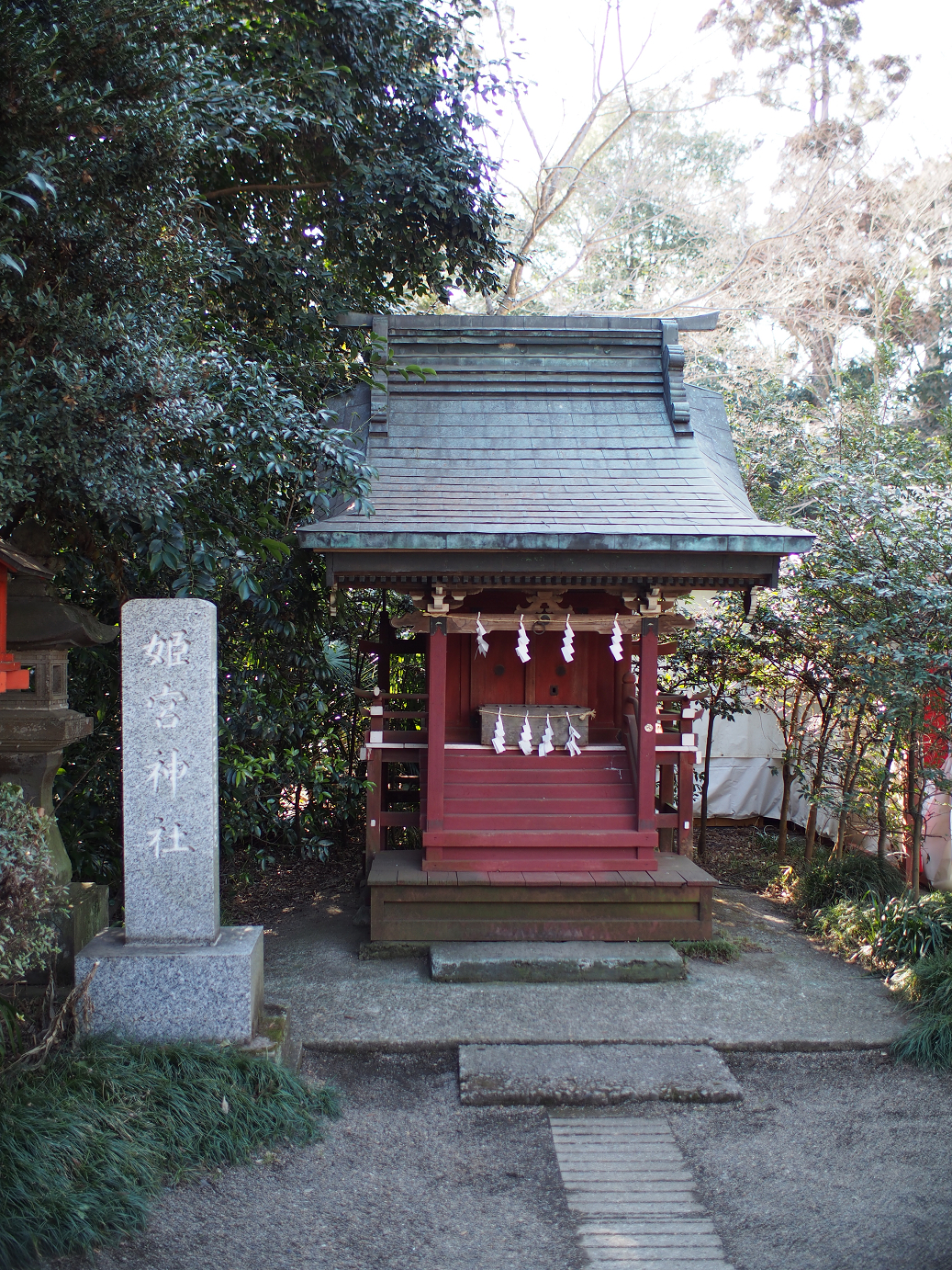 P2230240.jpg