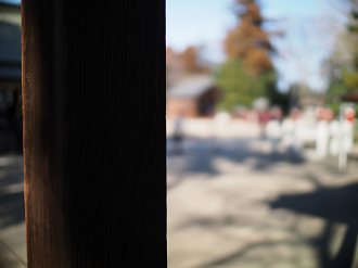 P2230242_thumb.png