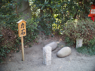 P2230244_thumb.png