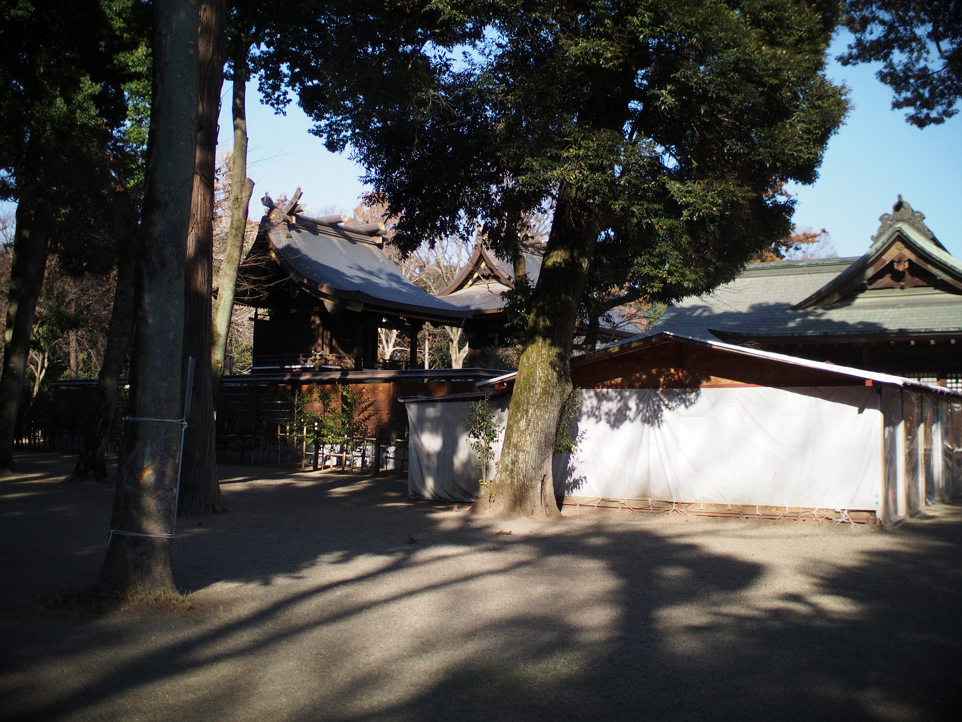 P2230250.jpg