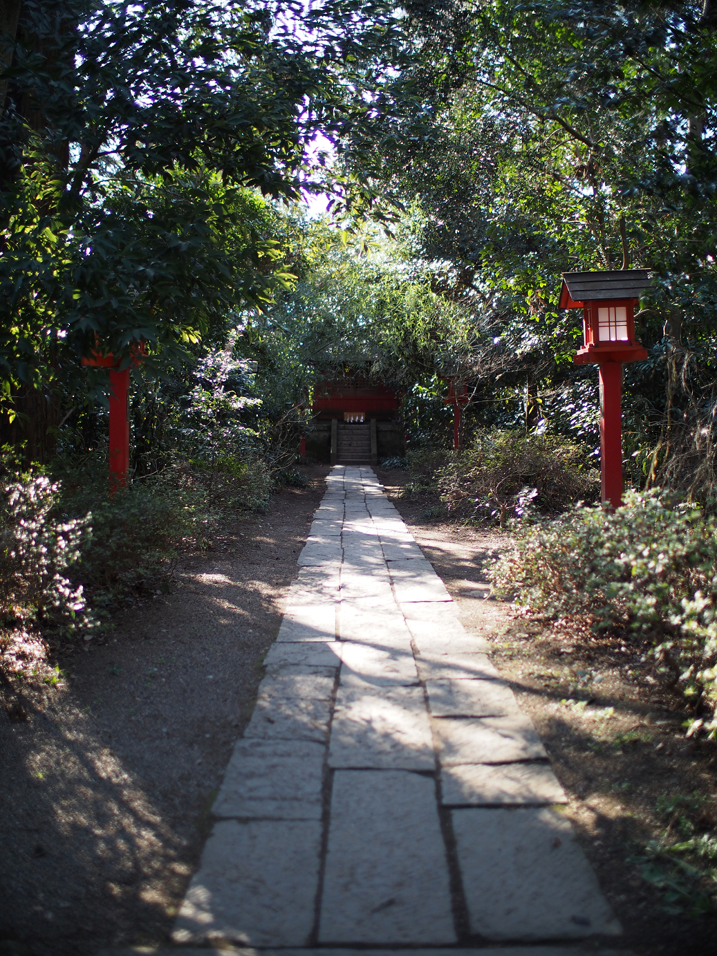 P2230257.jpg
