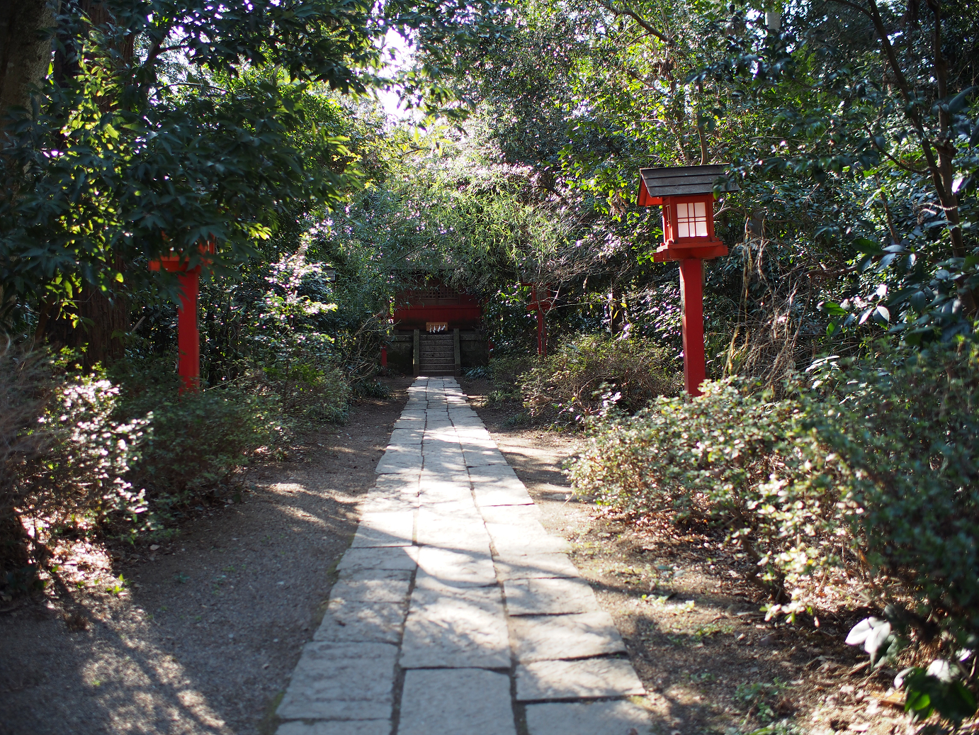 P2230259.jpg