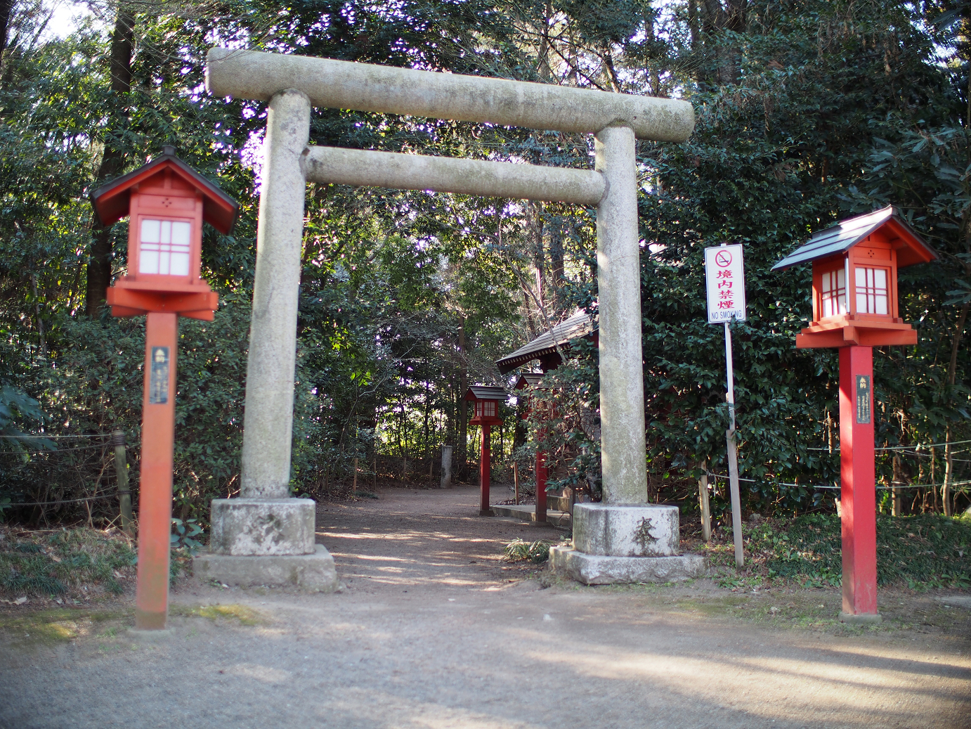 P2230263.jpg