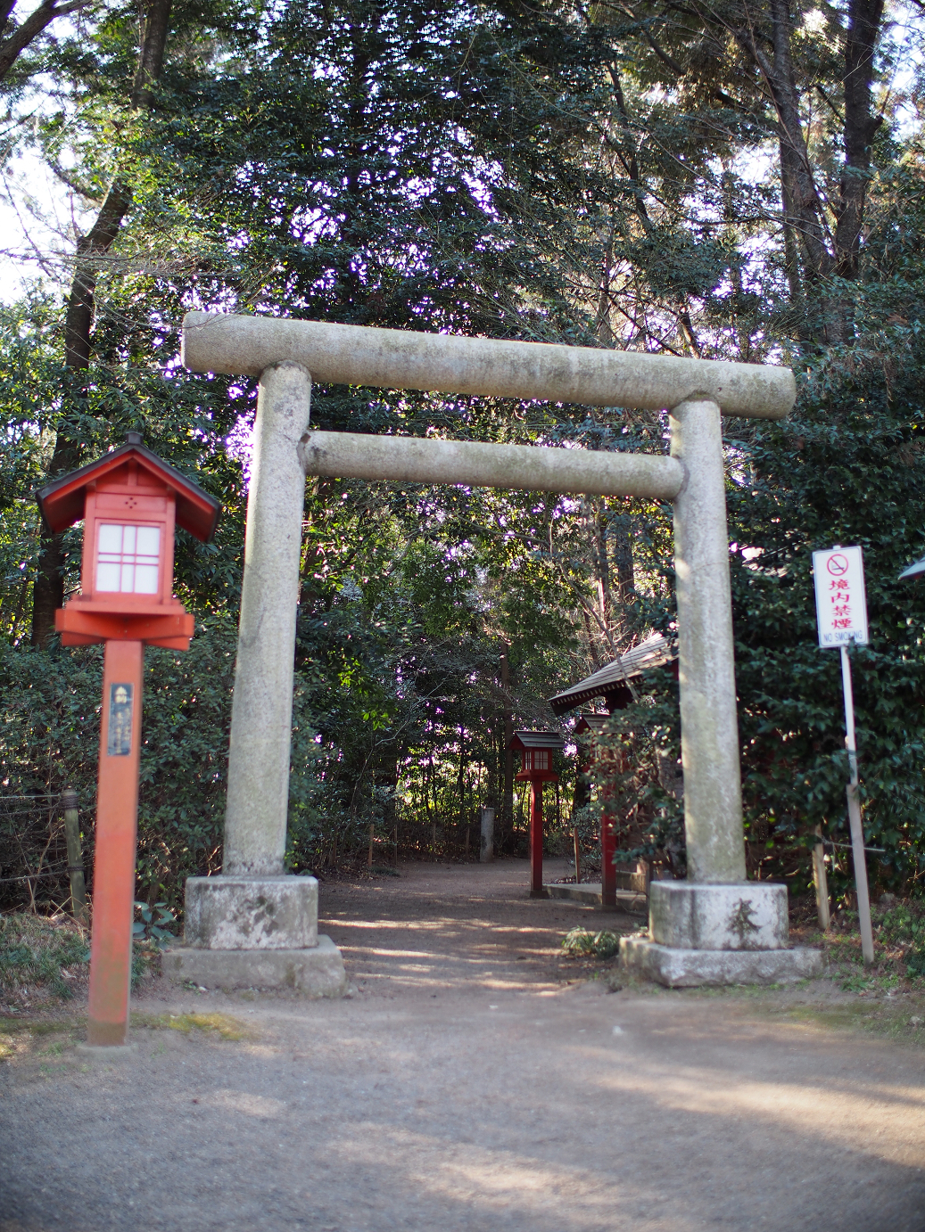 P2230265.jpg