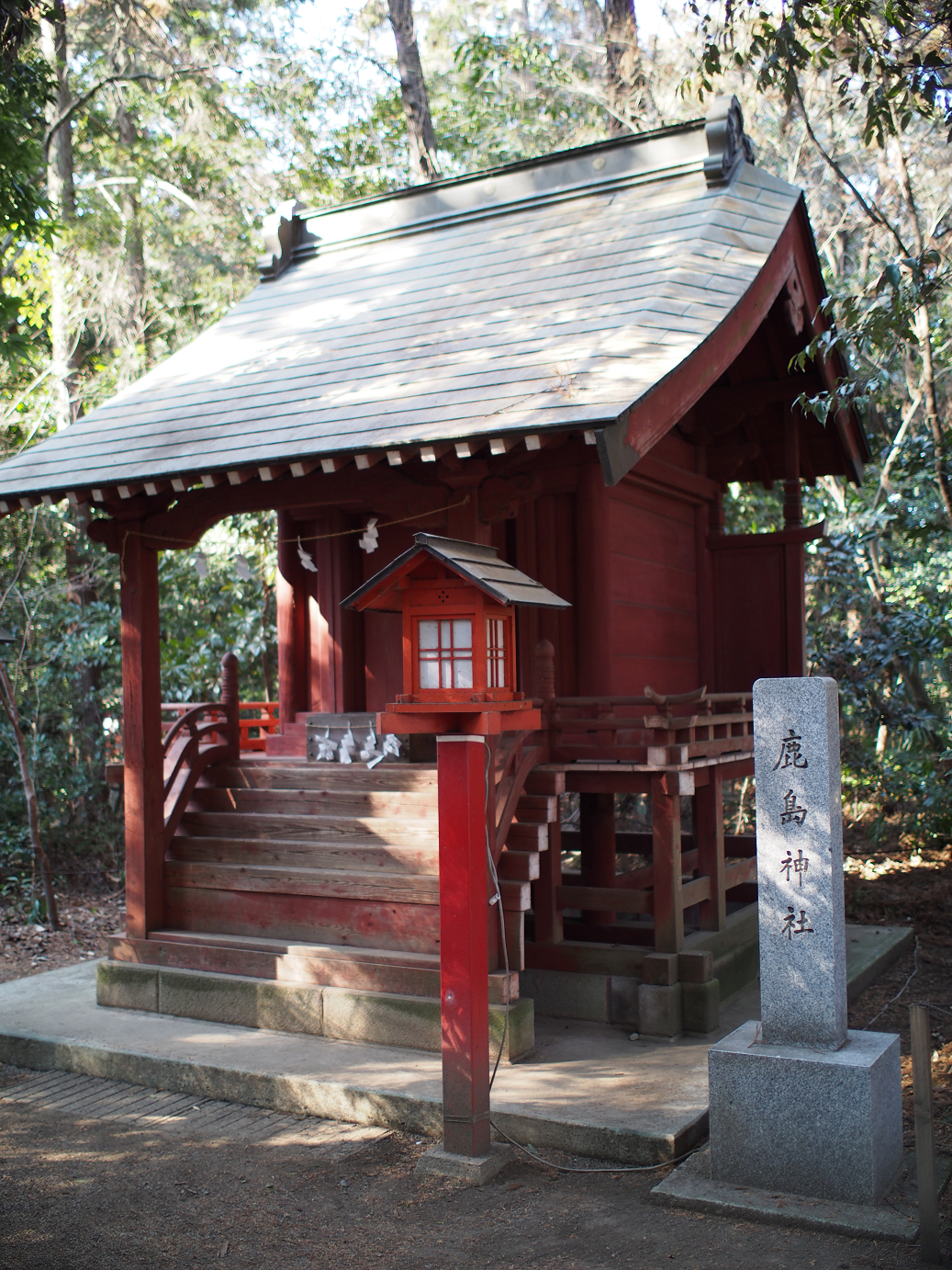 P2230270.jpg
