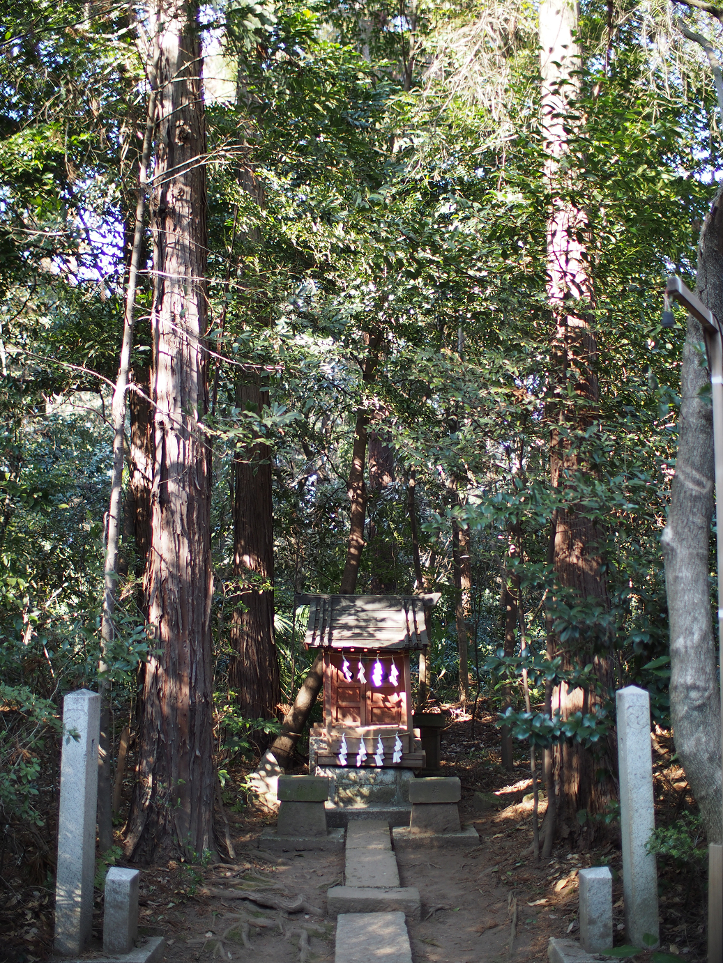 P2230274.jpg