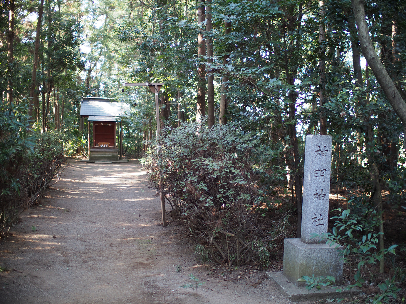 P2230277.jpg