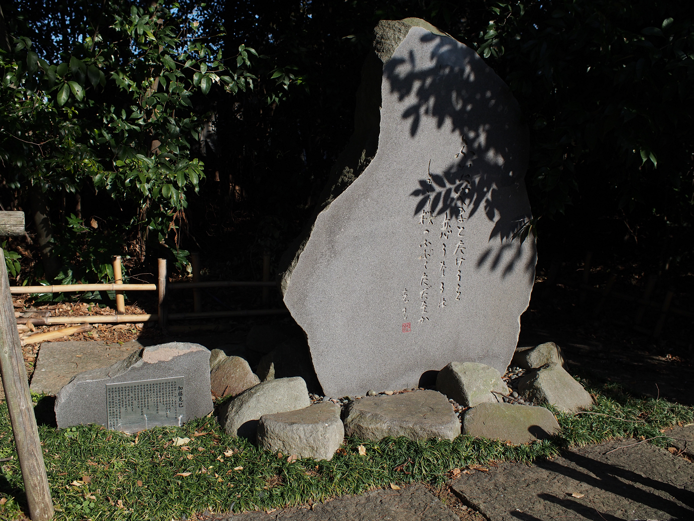 P2230281.jpg