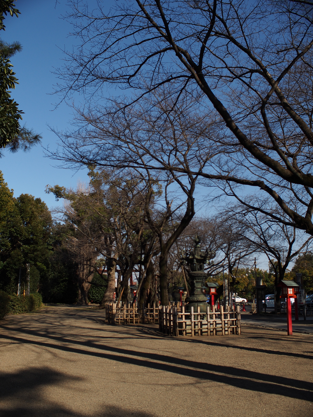 P2230287.jpg
