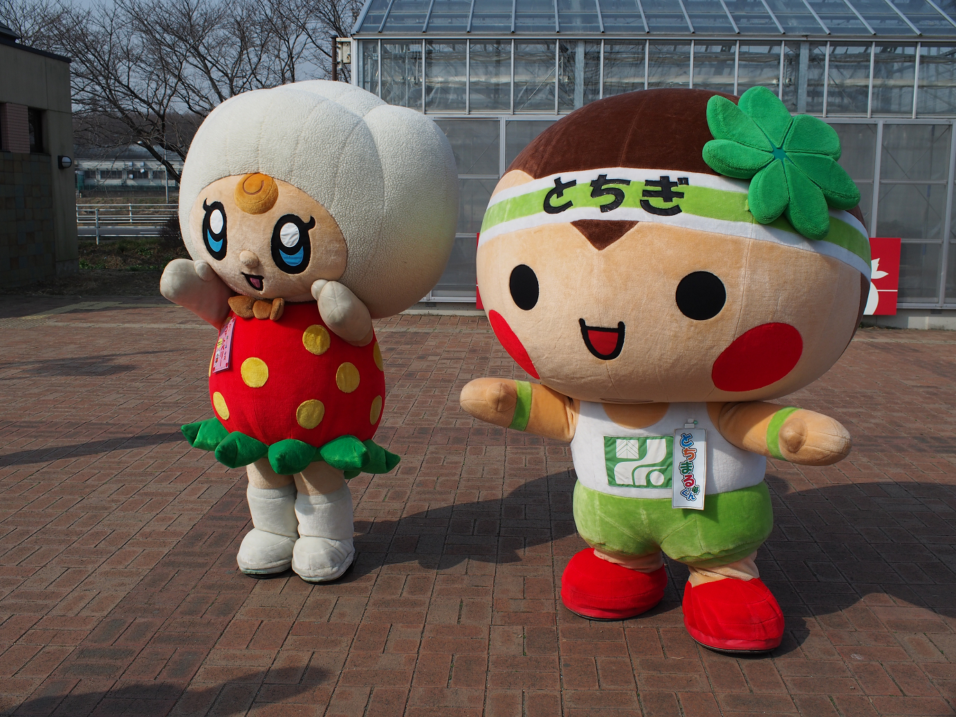 P3100005.jpg