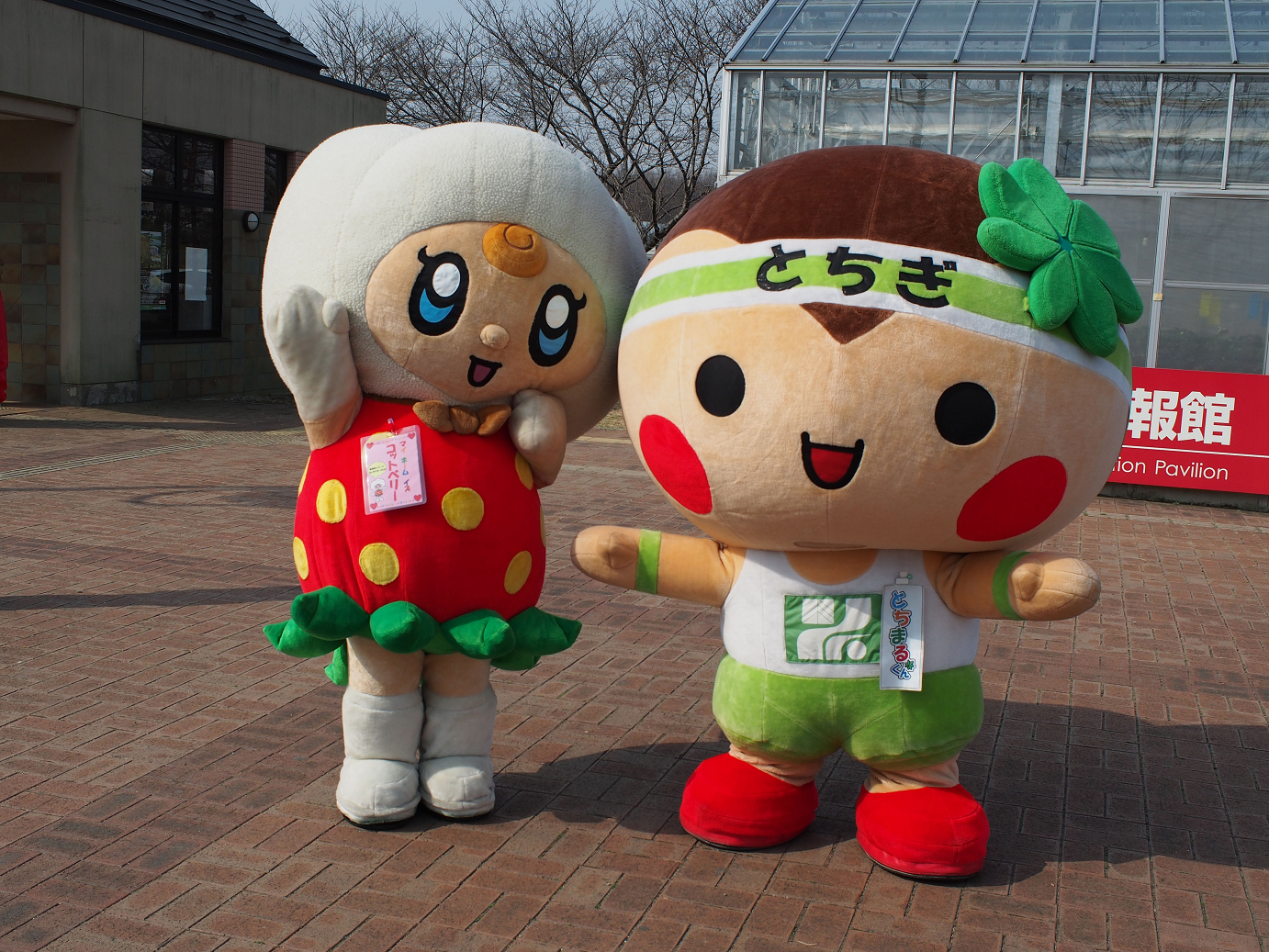 P3100009.jpg