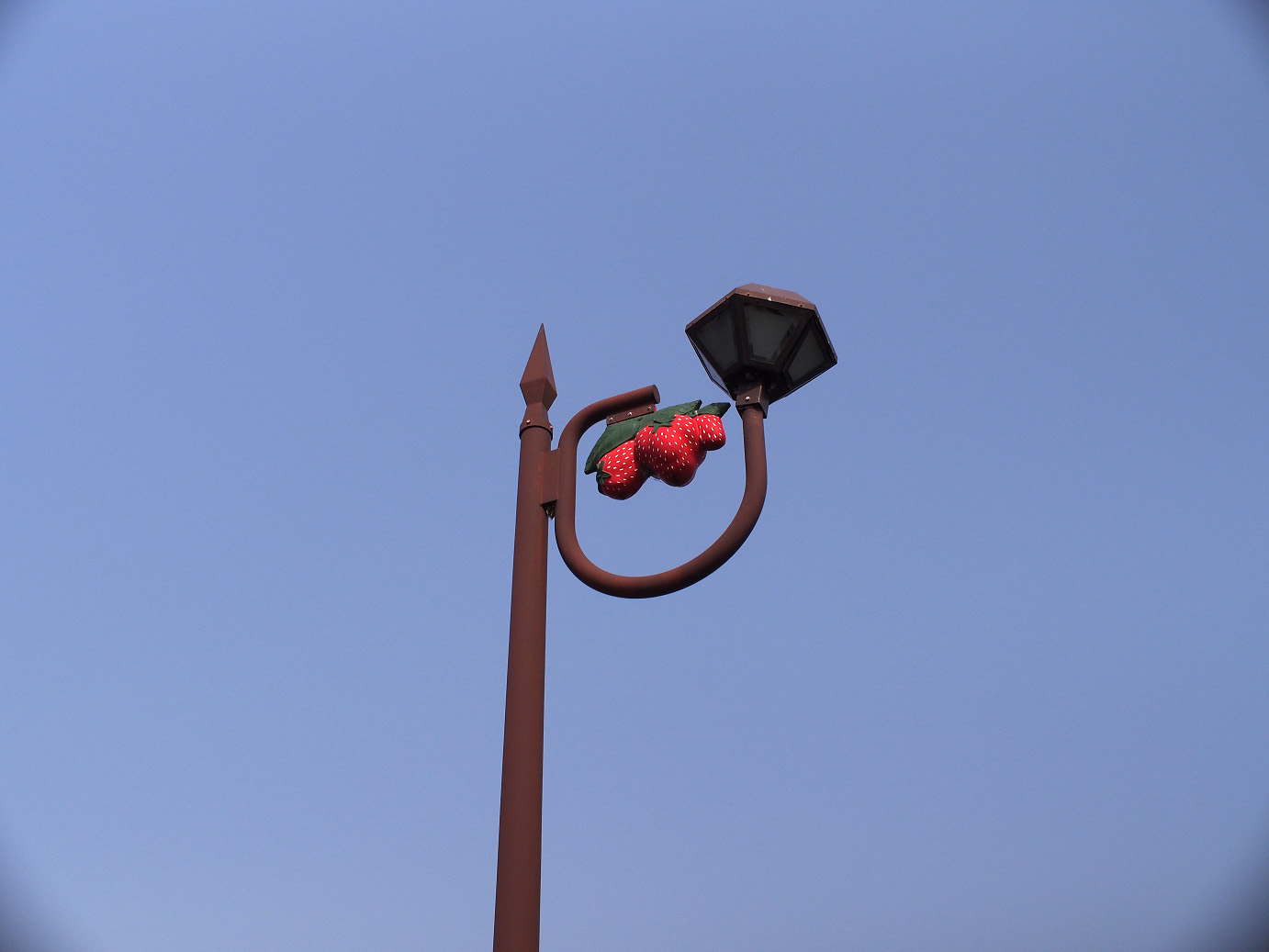 P3100025.jpg