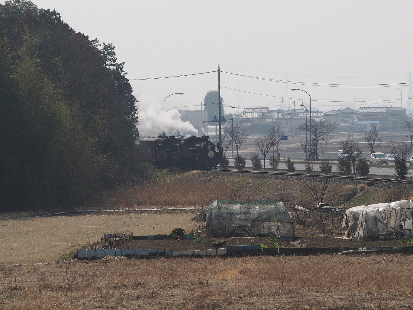 P3100049.jpg