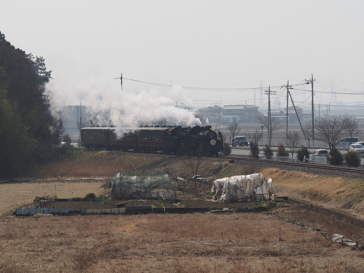 P3100051.jpg