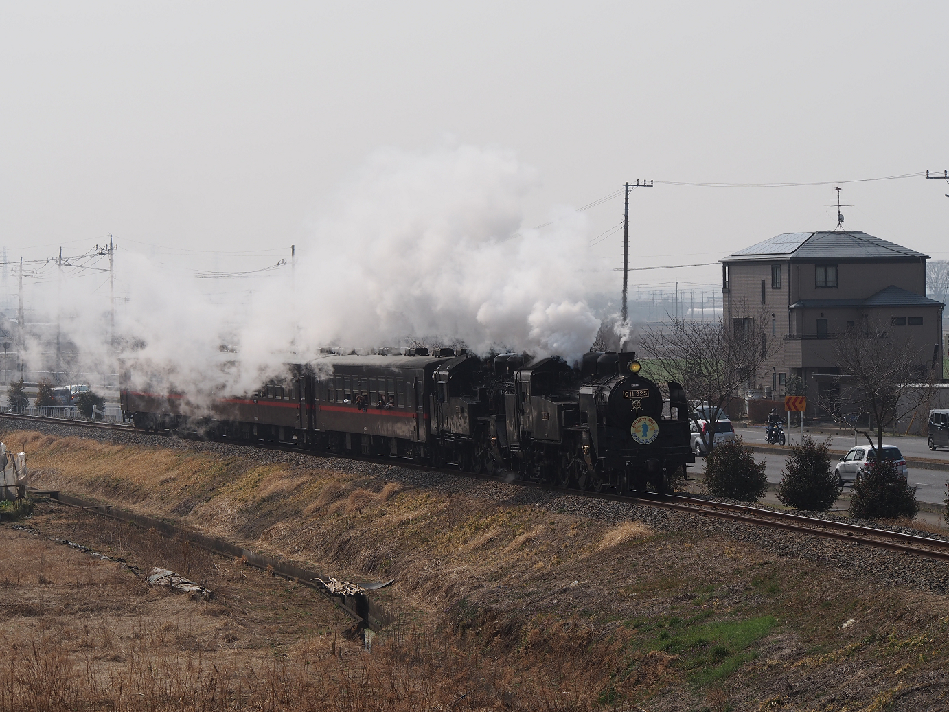 P3100060.jpg