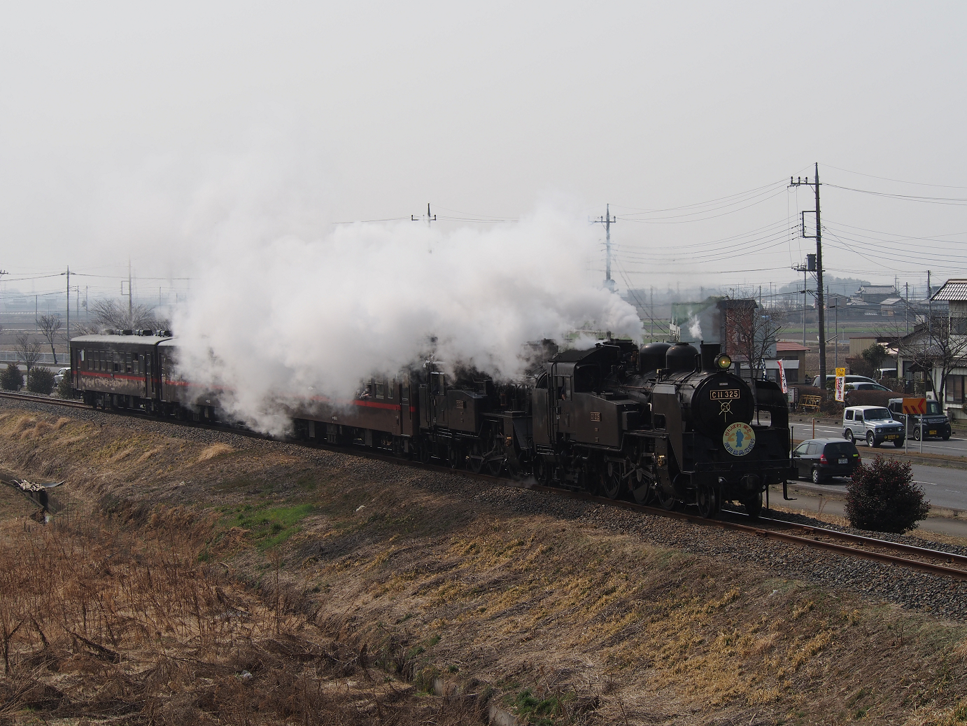 P3100061.jpg