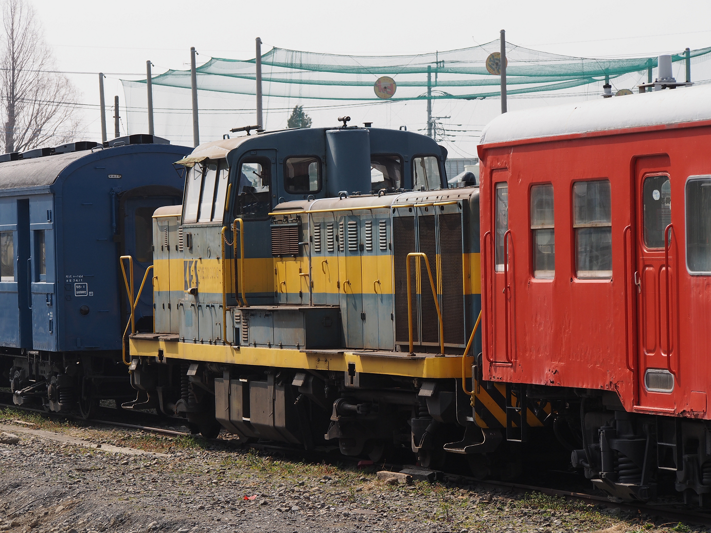 P3100080.jpg