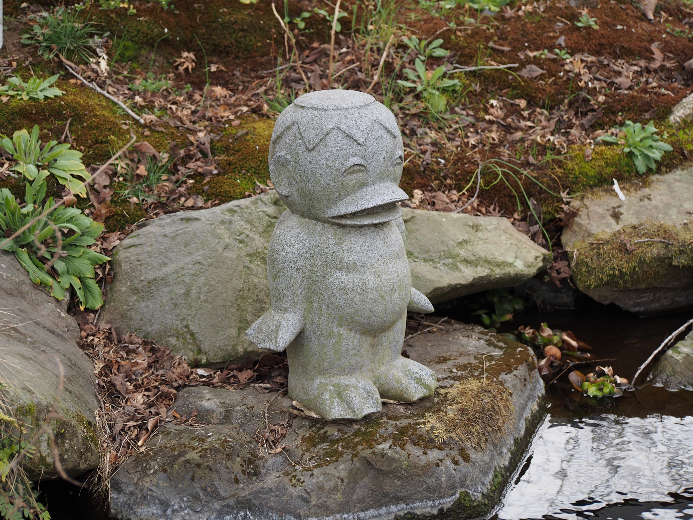 P3100147.jpg