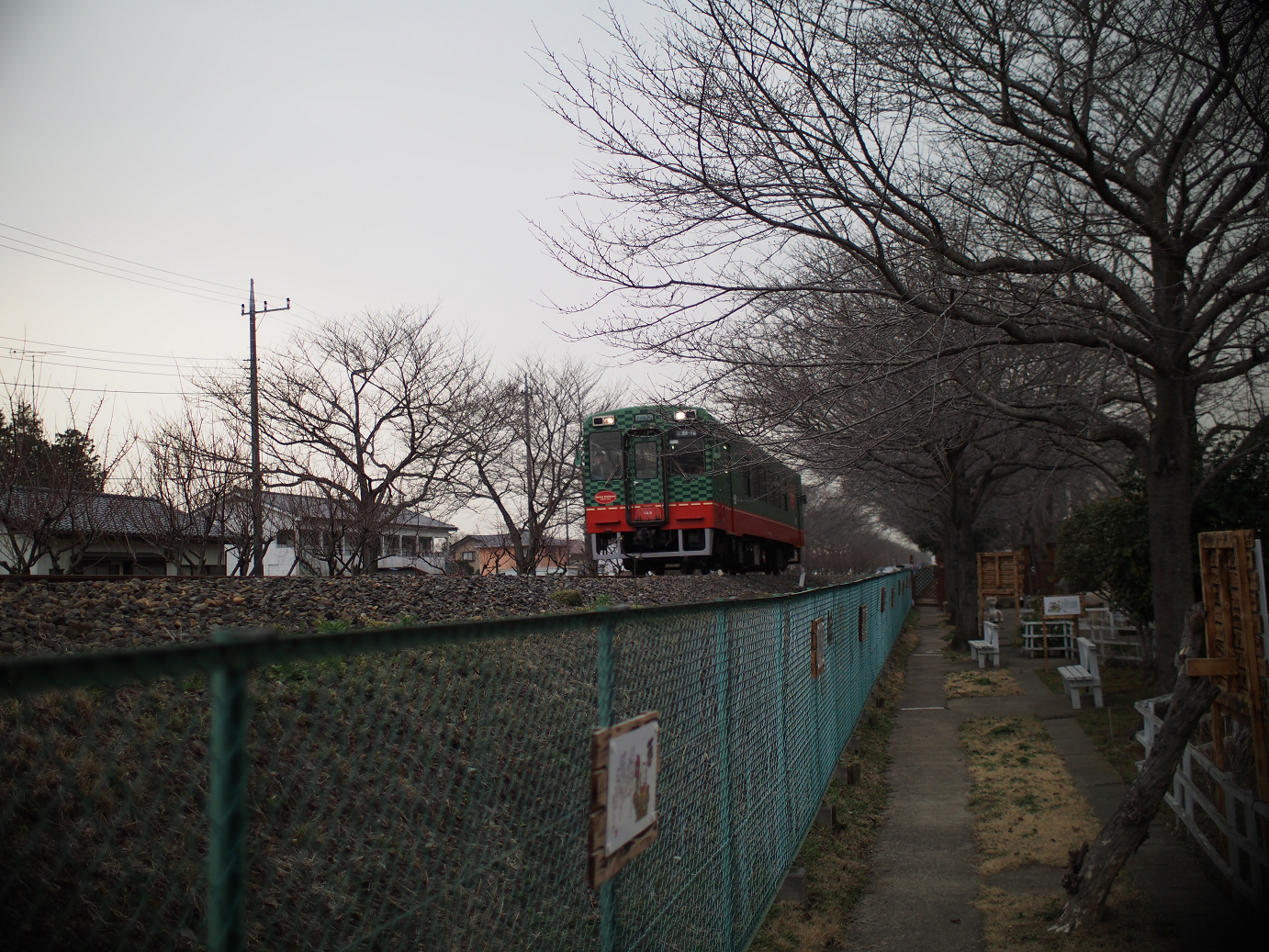 P3100203.jpg