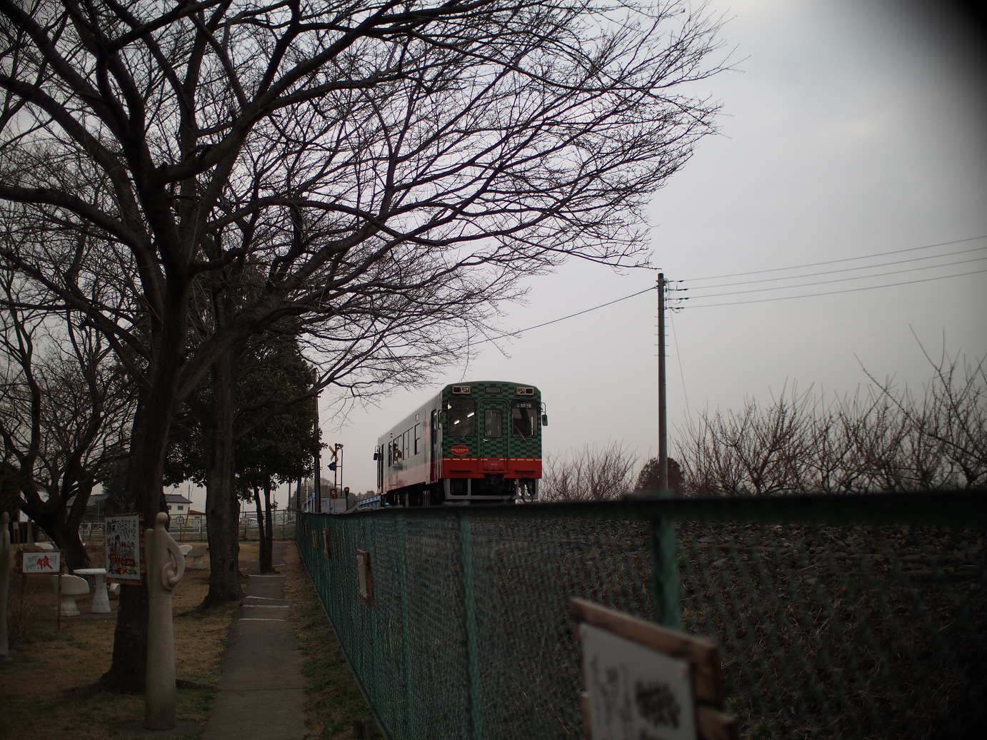 P3100204.jpg