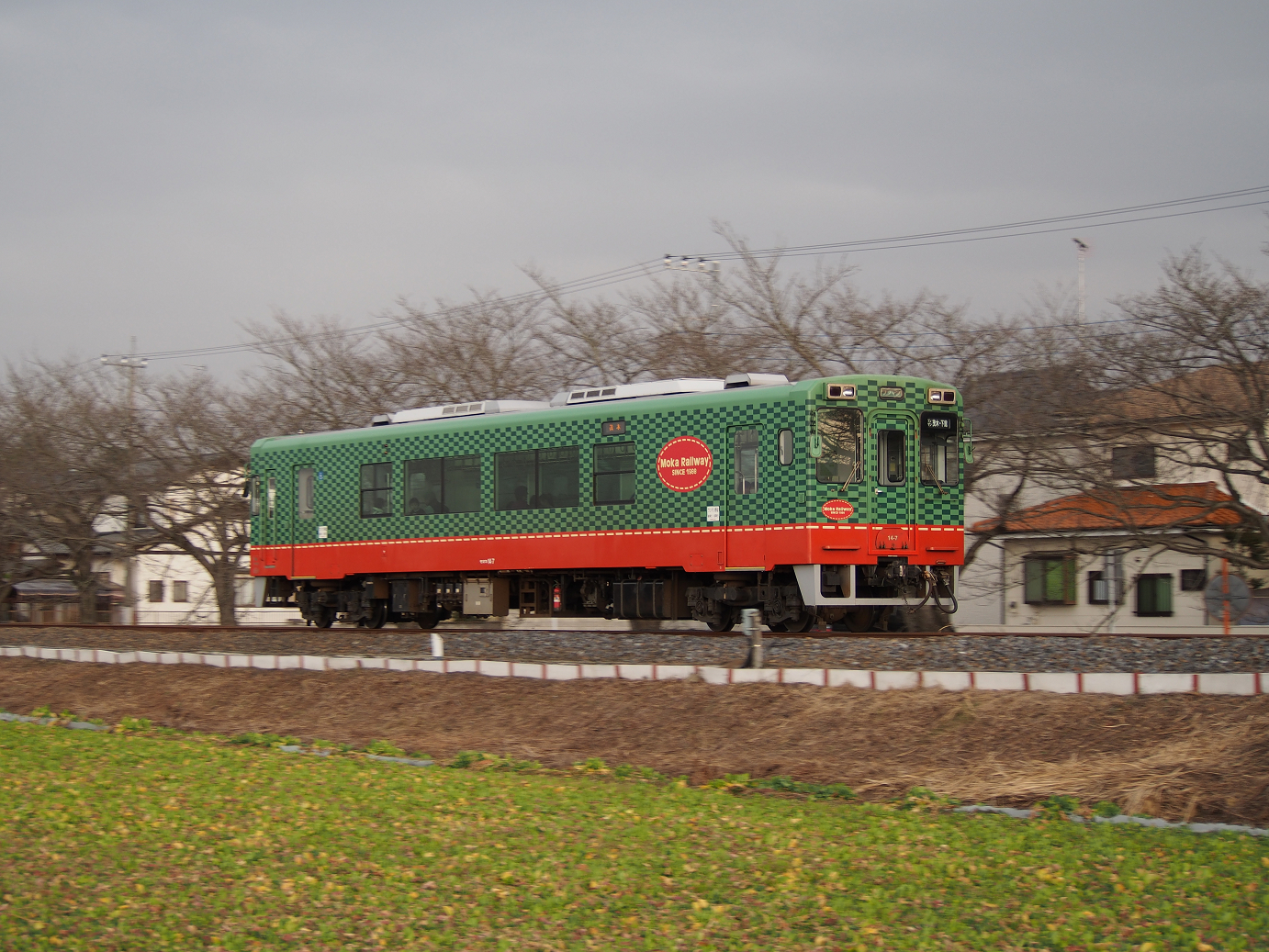 P3100239.jpg