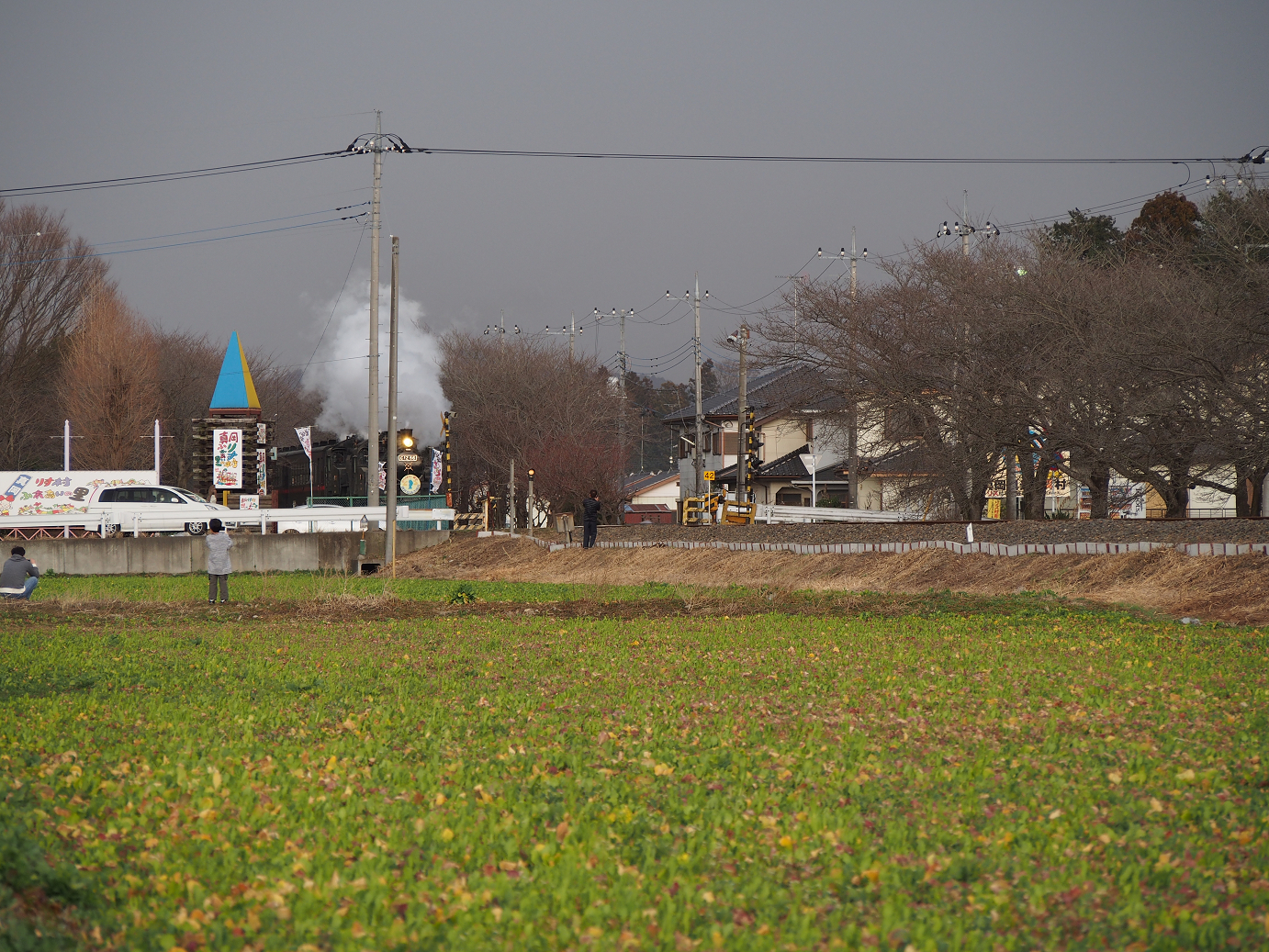 P3100245.jpg