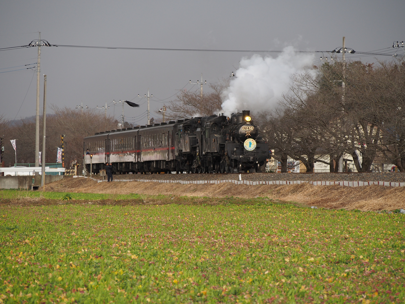 P3100250.jpg