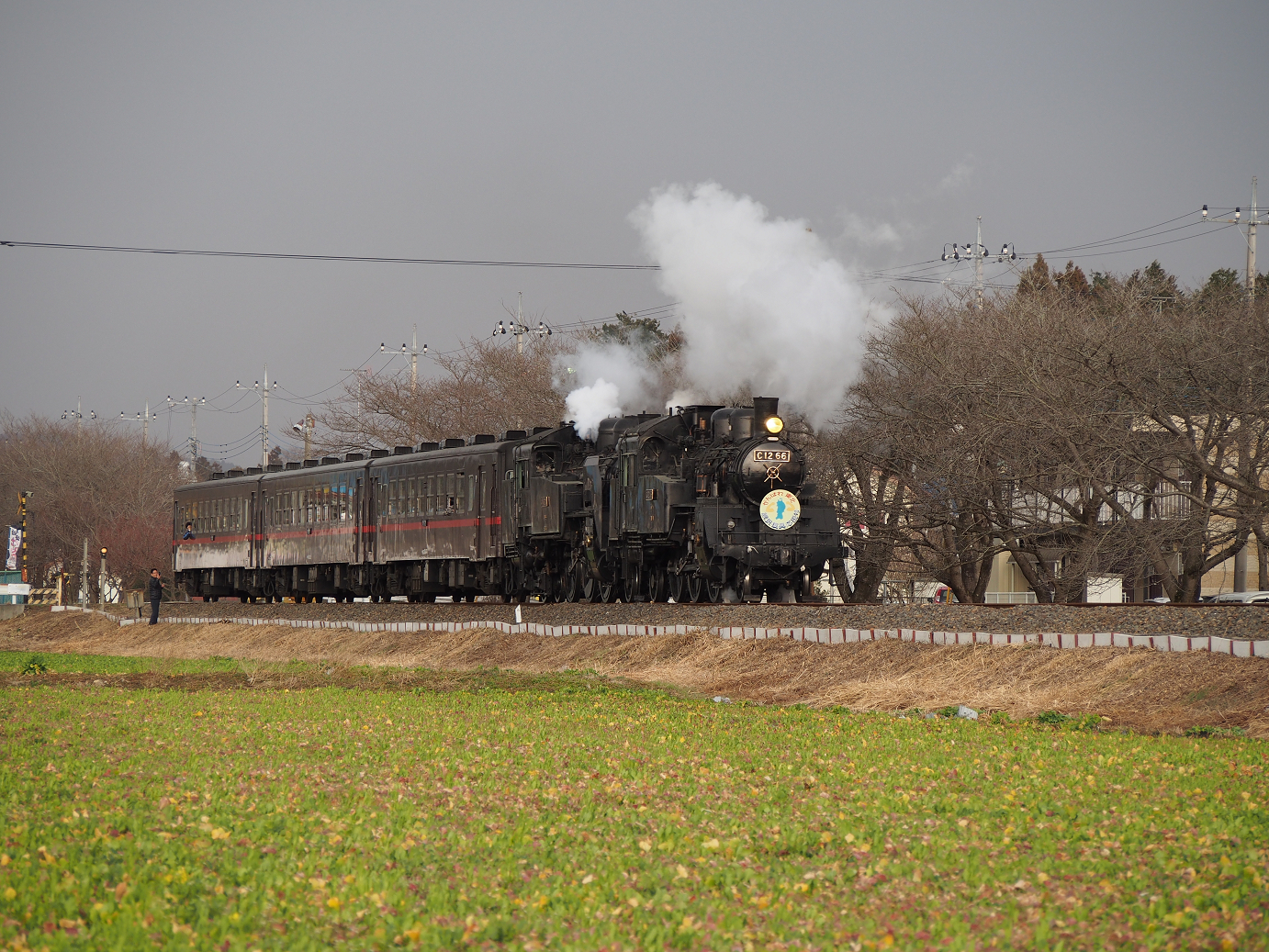 P3100251.jpg