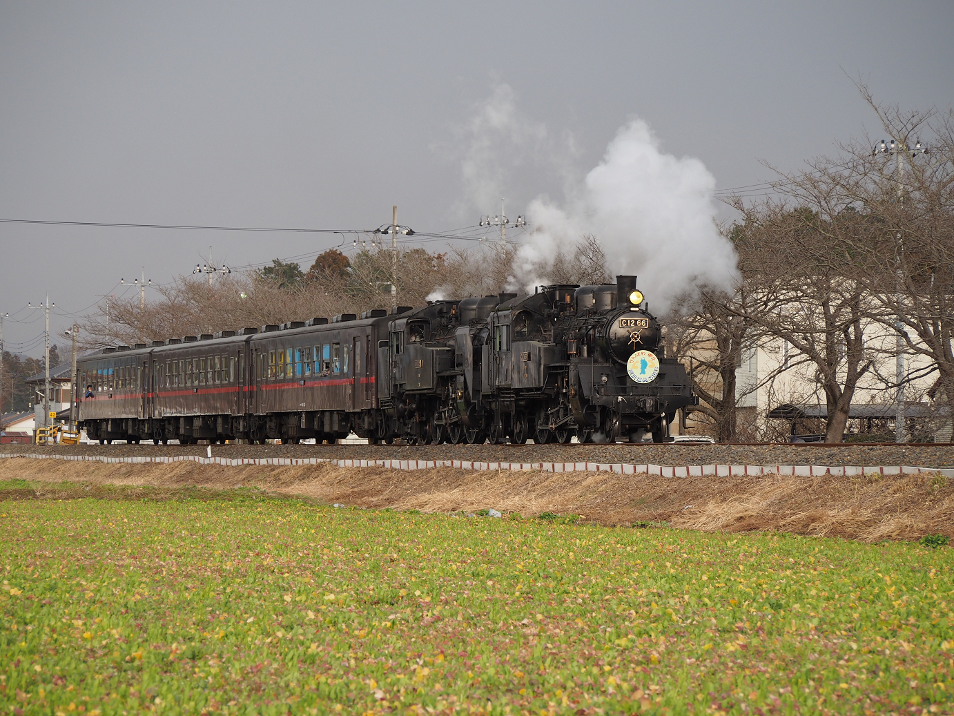 P3100254.jpg