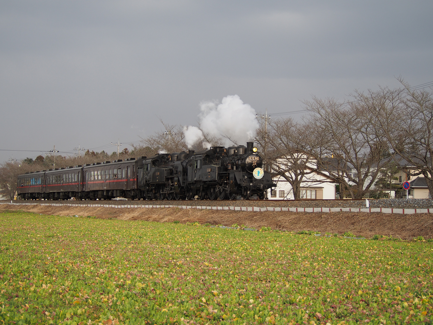P3100260.jpg