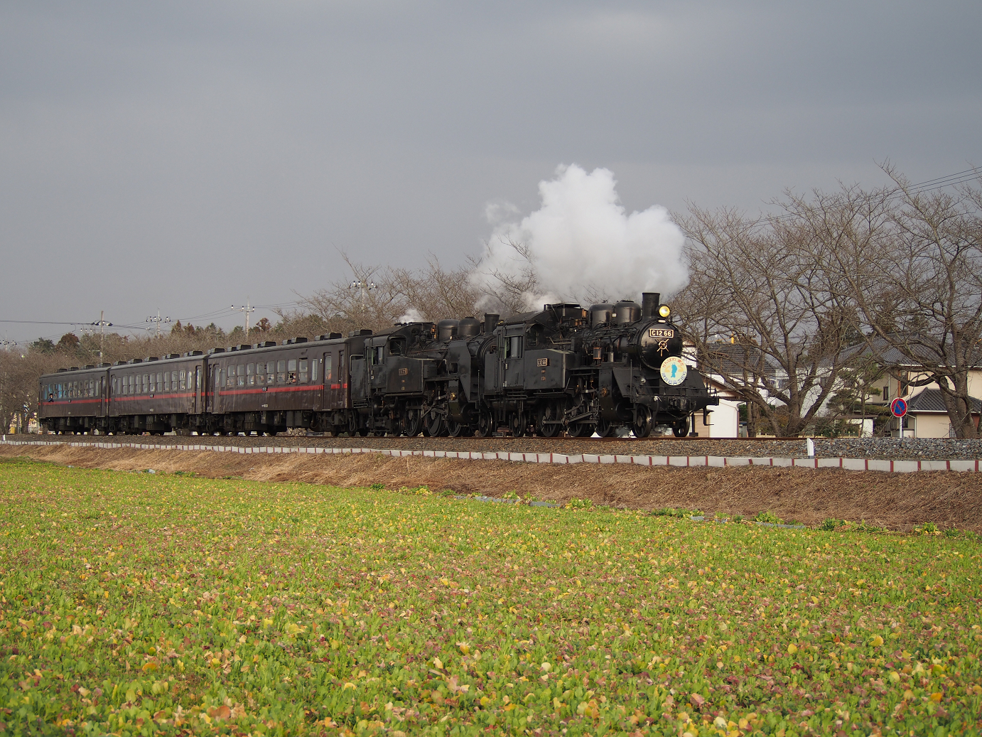 P3100264.jpg
