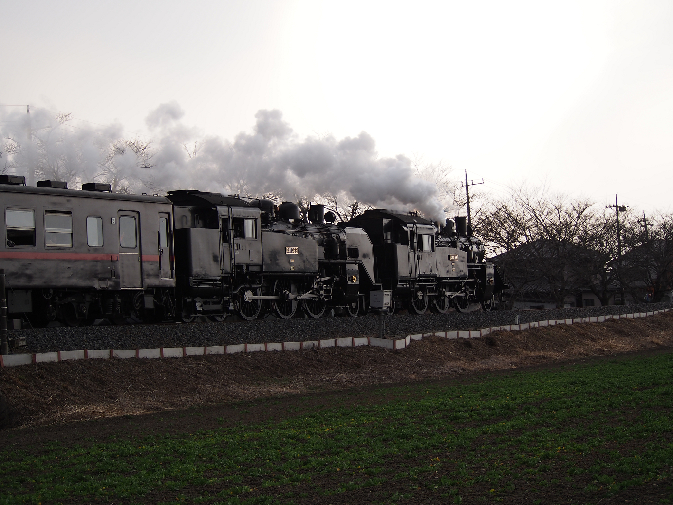 P3100267.jpg