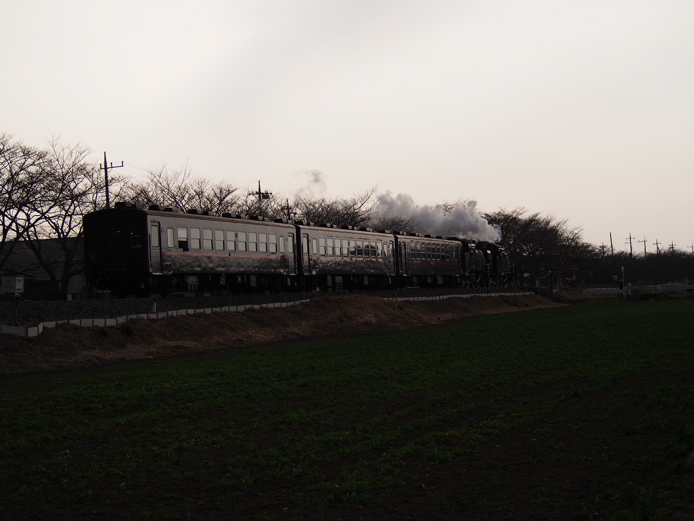 P3100269.jpg